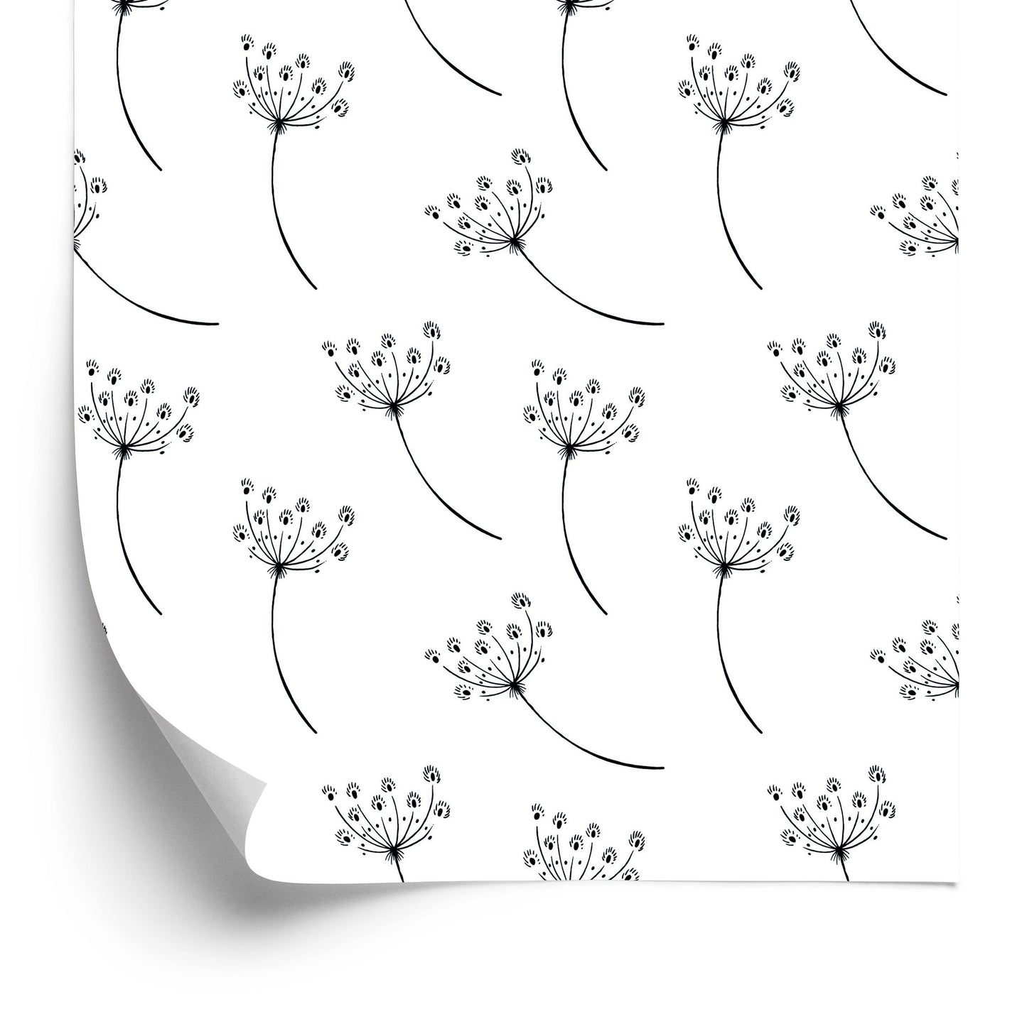 Wallpaper Minimalist Field Flowers