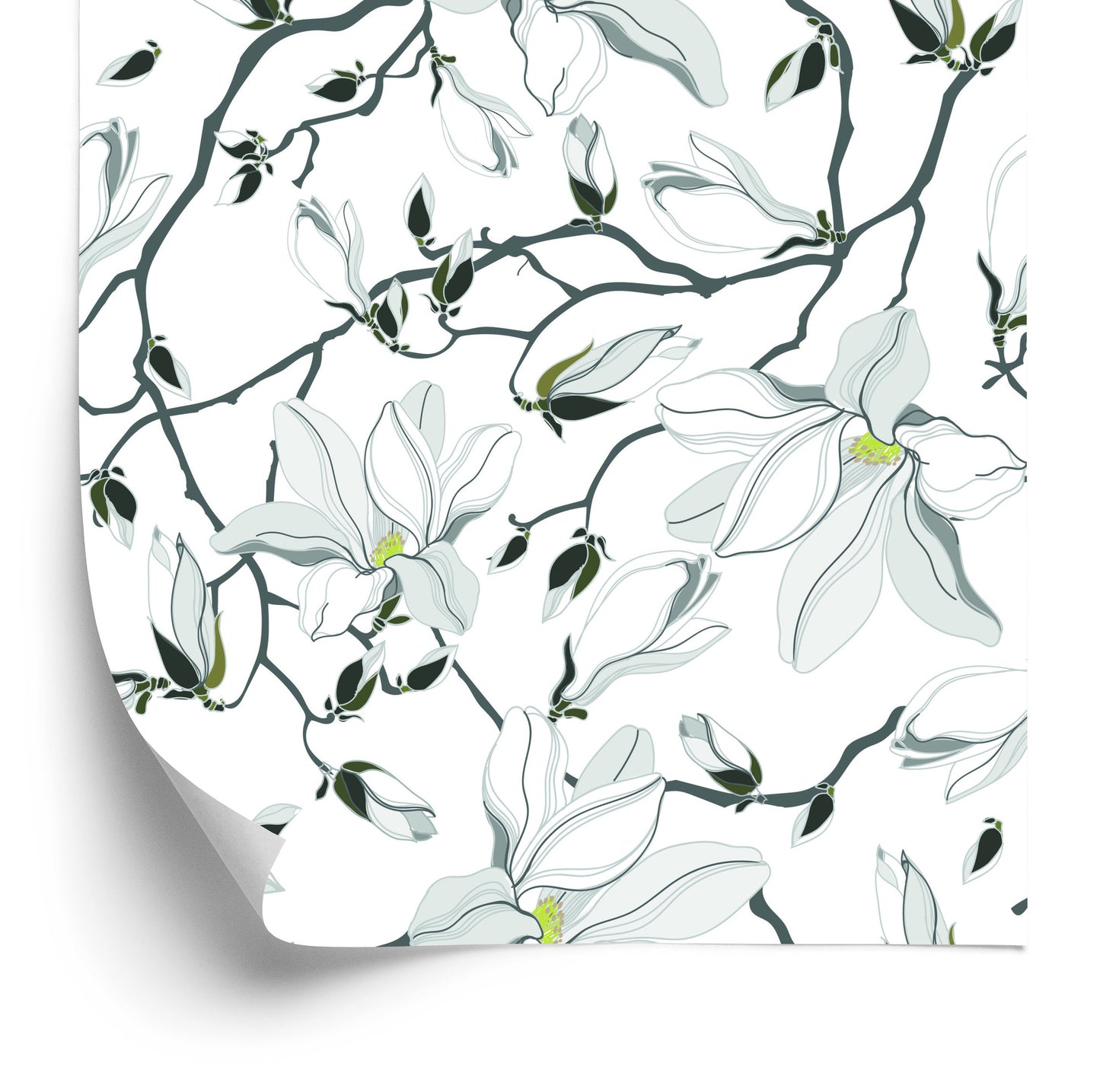 Wallpaper White Magnolias