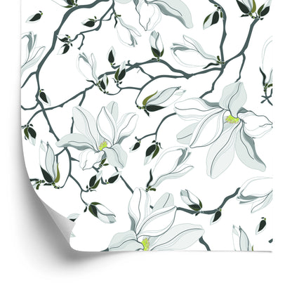 Wallpaper White Magnolias