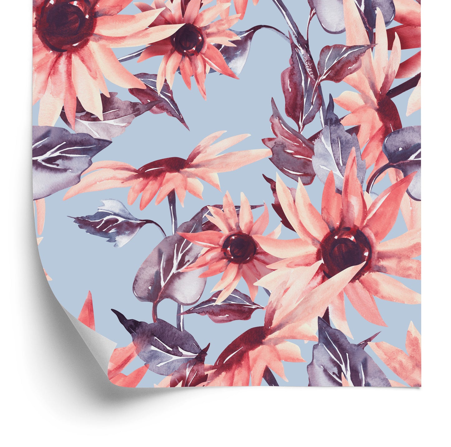 Wallpaper Pink Sunflower Flowers