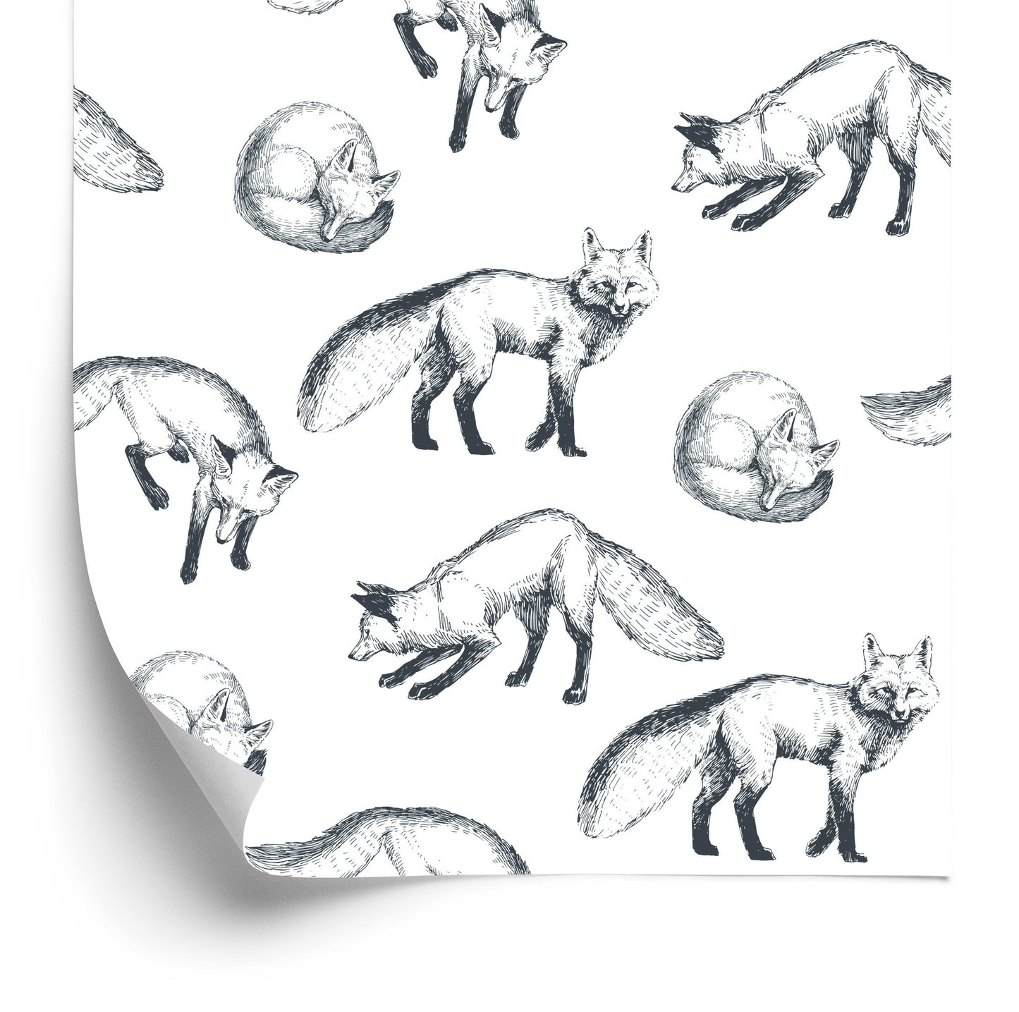 Wallpaper Black And White Drawn Foxes