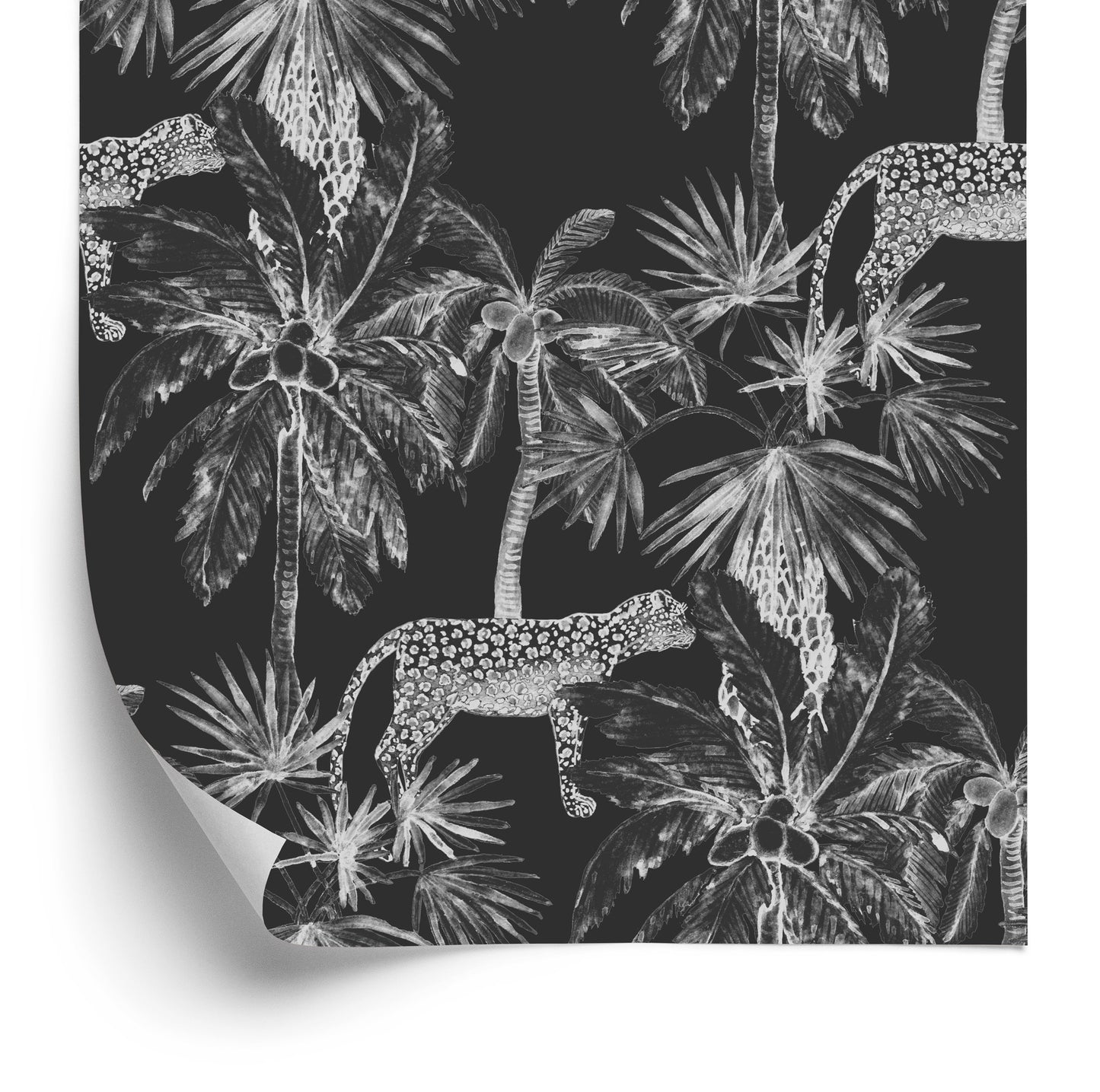 Wallpaper Wild Cats And Palms