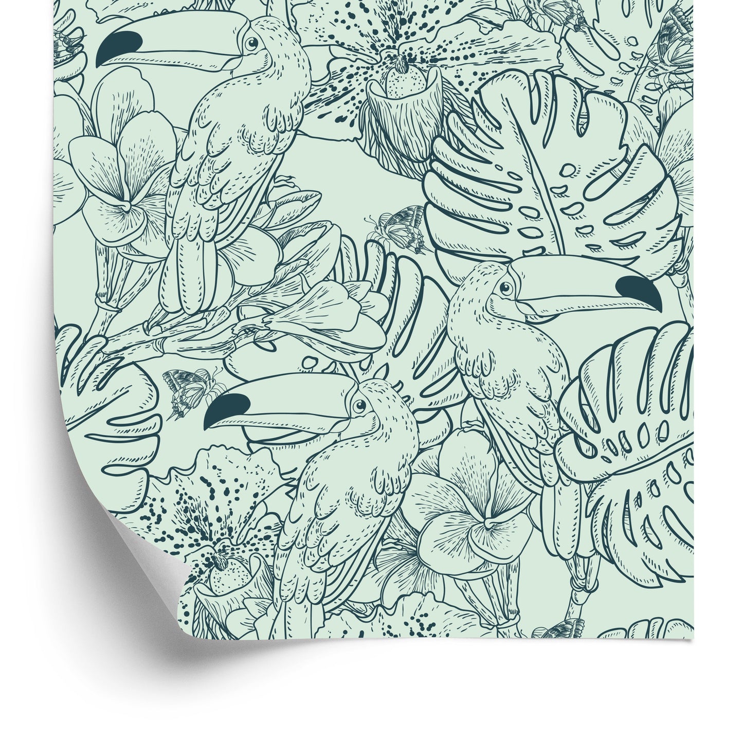 Wallpaper Toucans And Exotic Plants