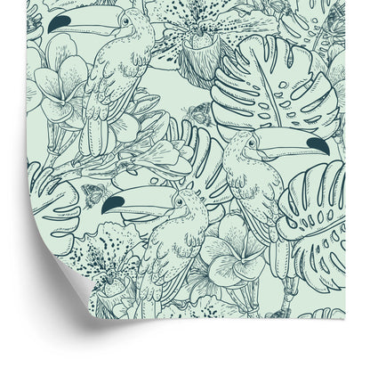 Wallpaper Toucans And Exotic Plants
