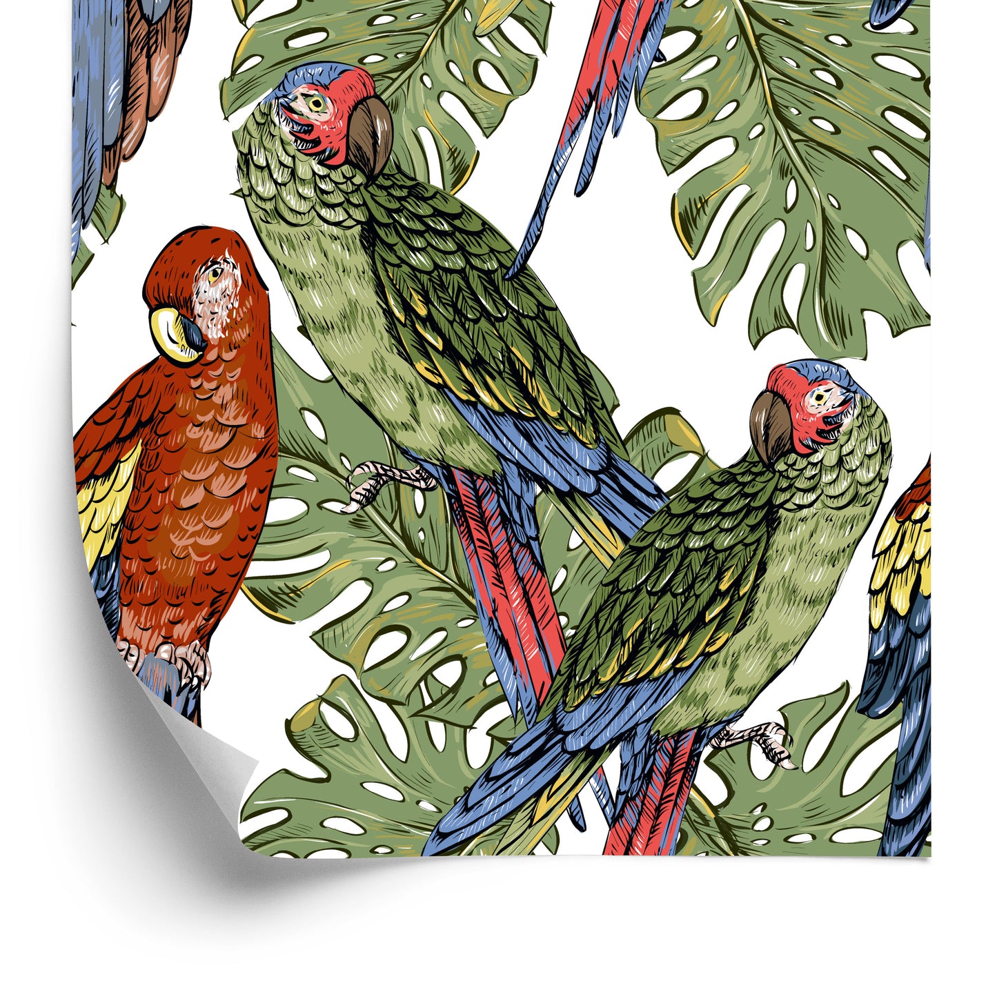 Wallpaper Colorful Parrots