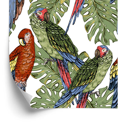 Wallpaper Colorful Parrots