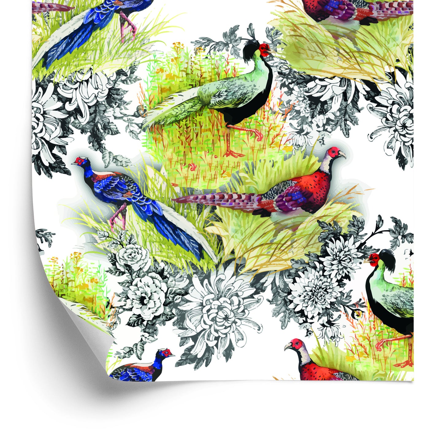 Wallpaper Peacocks And Pheasants