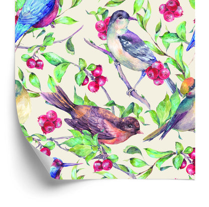 Wallpaper Beautiful Colorful Birds
