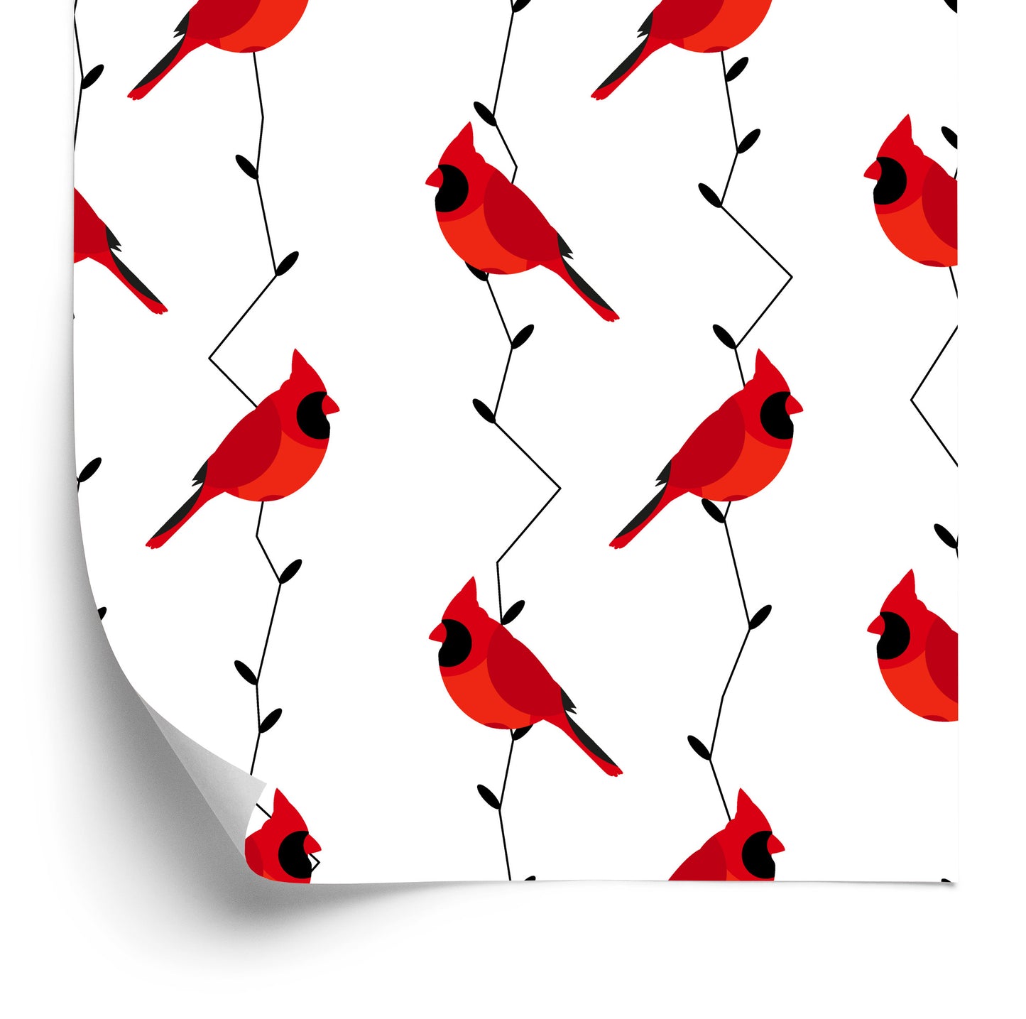 Wallpaper Beautiful Colorful Birds