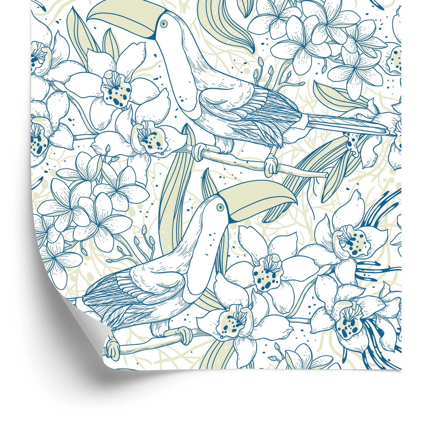 Wallpaper Toucans And Flowers