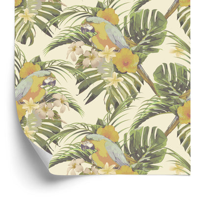 Wallpaper Parrots