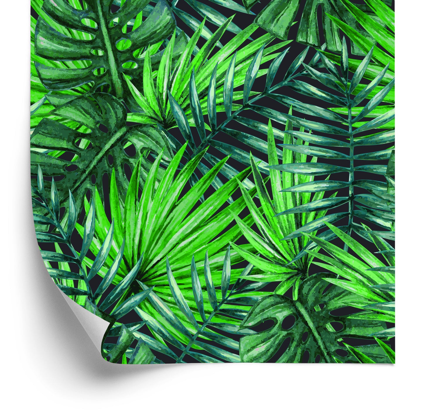 Wallpaper Beautiful Tropical Leaves