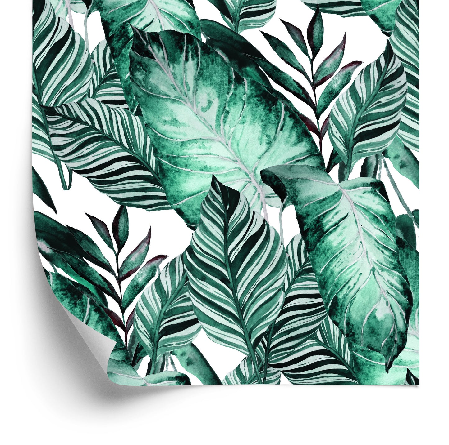 Wallpaper Exotic Leaves