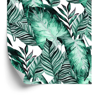 Wallpaper Exotic Leaves