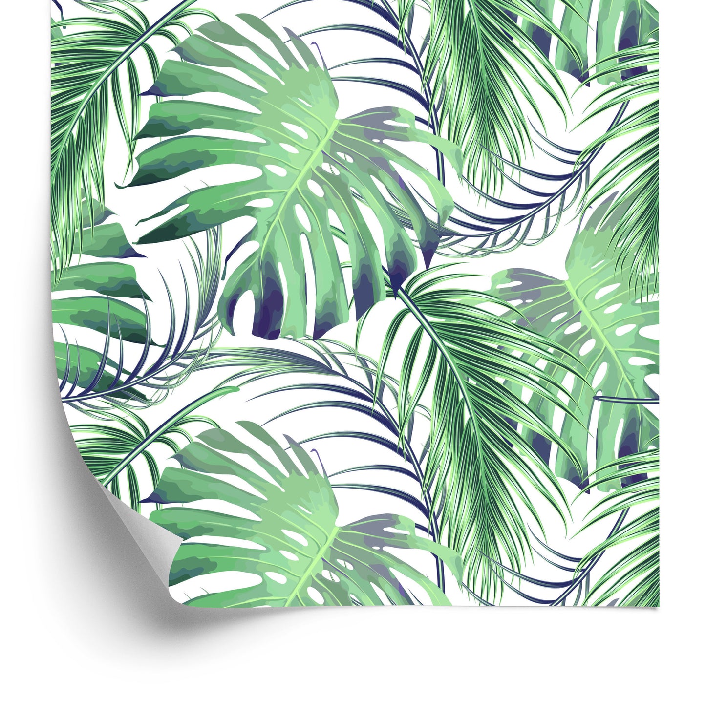 Wallpaper Leaves Palm And Monsteraae