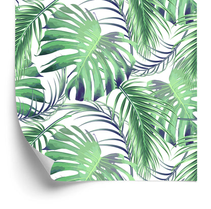 Wallpaper Leaves Palm And Monsteraae