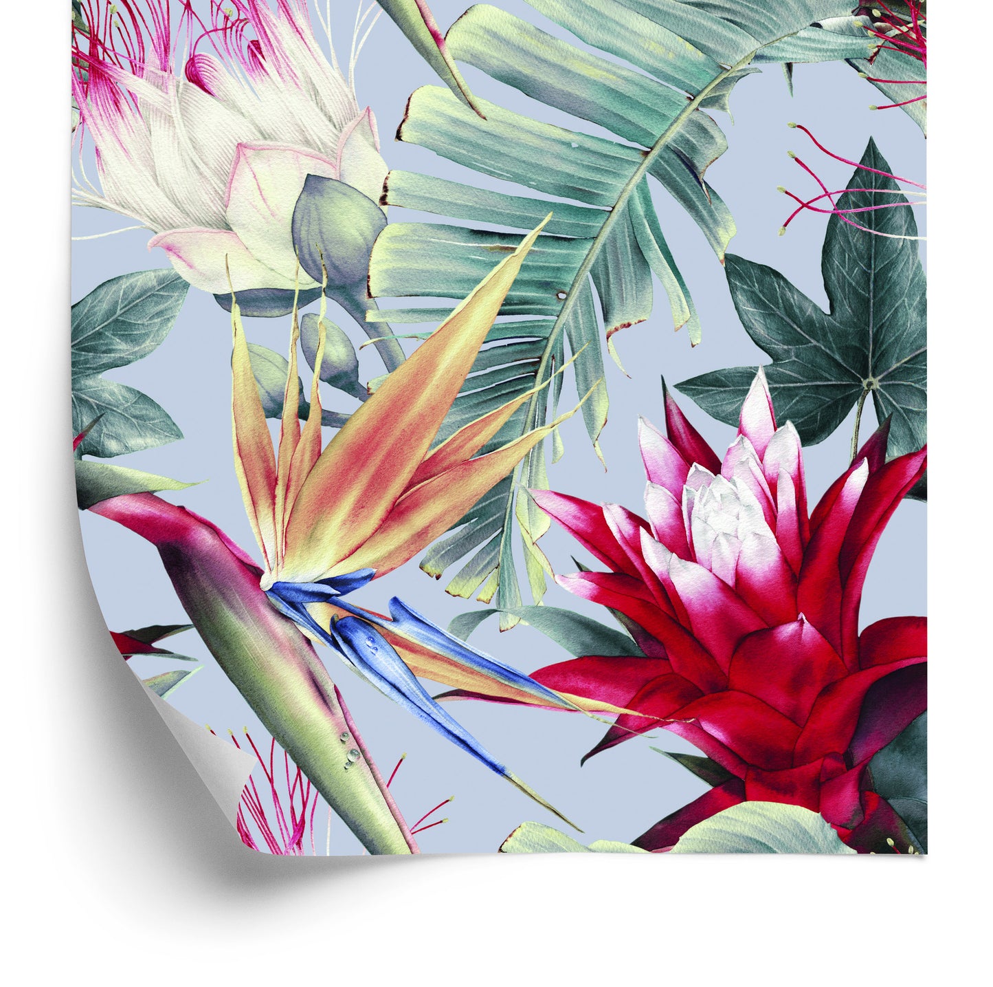 Wallpaper Tropical Flowers Watercolor