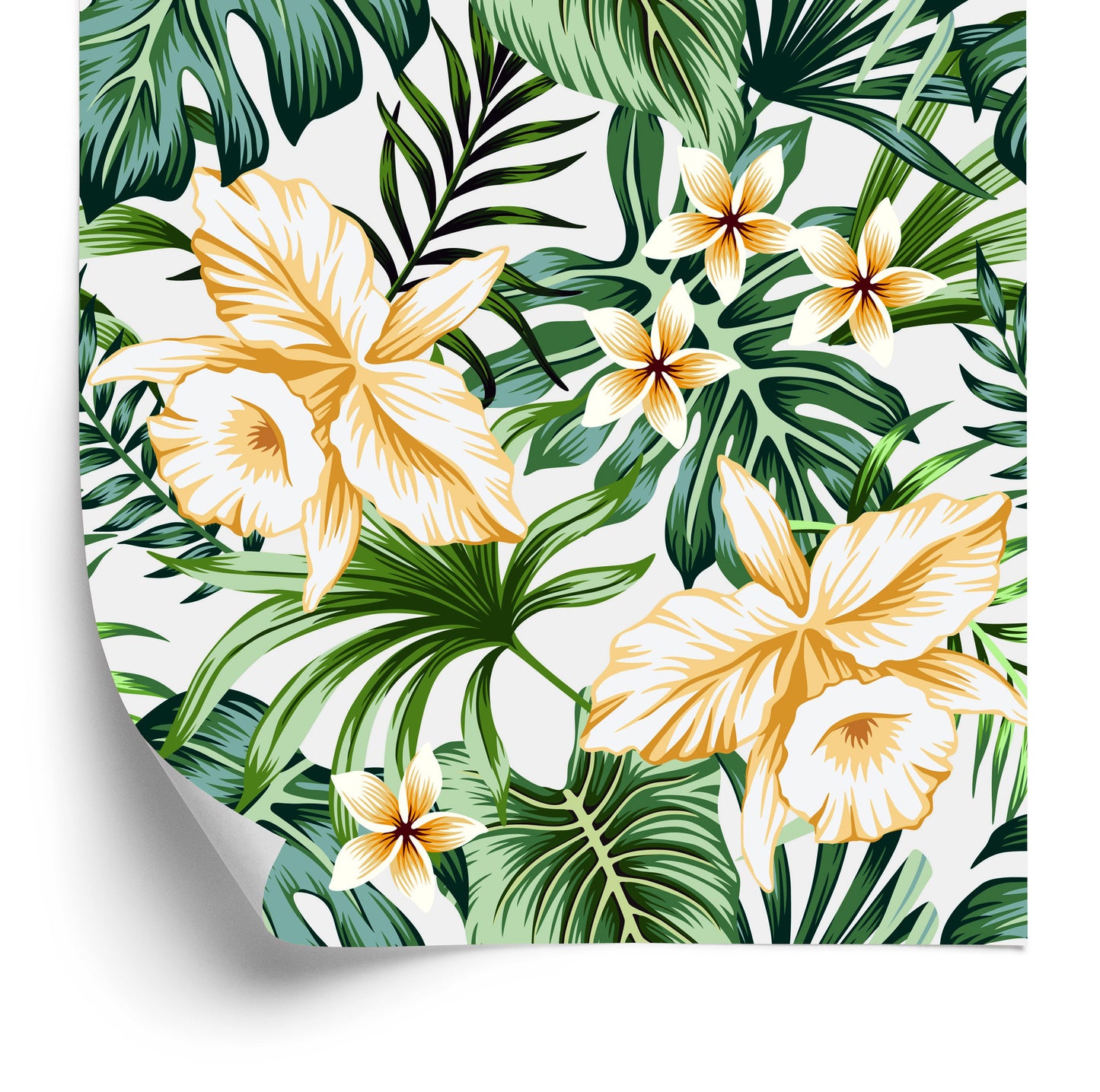 Wallpaper Tropical Flowers Watercolor
