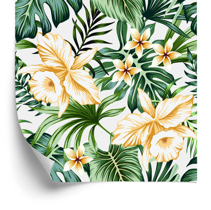 Wallpaper Tropical Flowers Watercolor