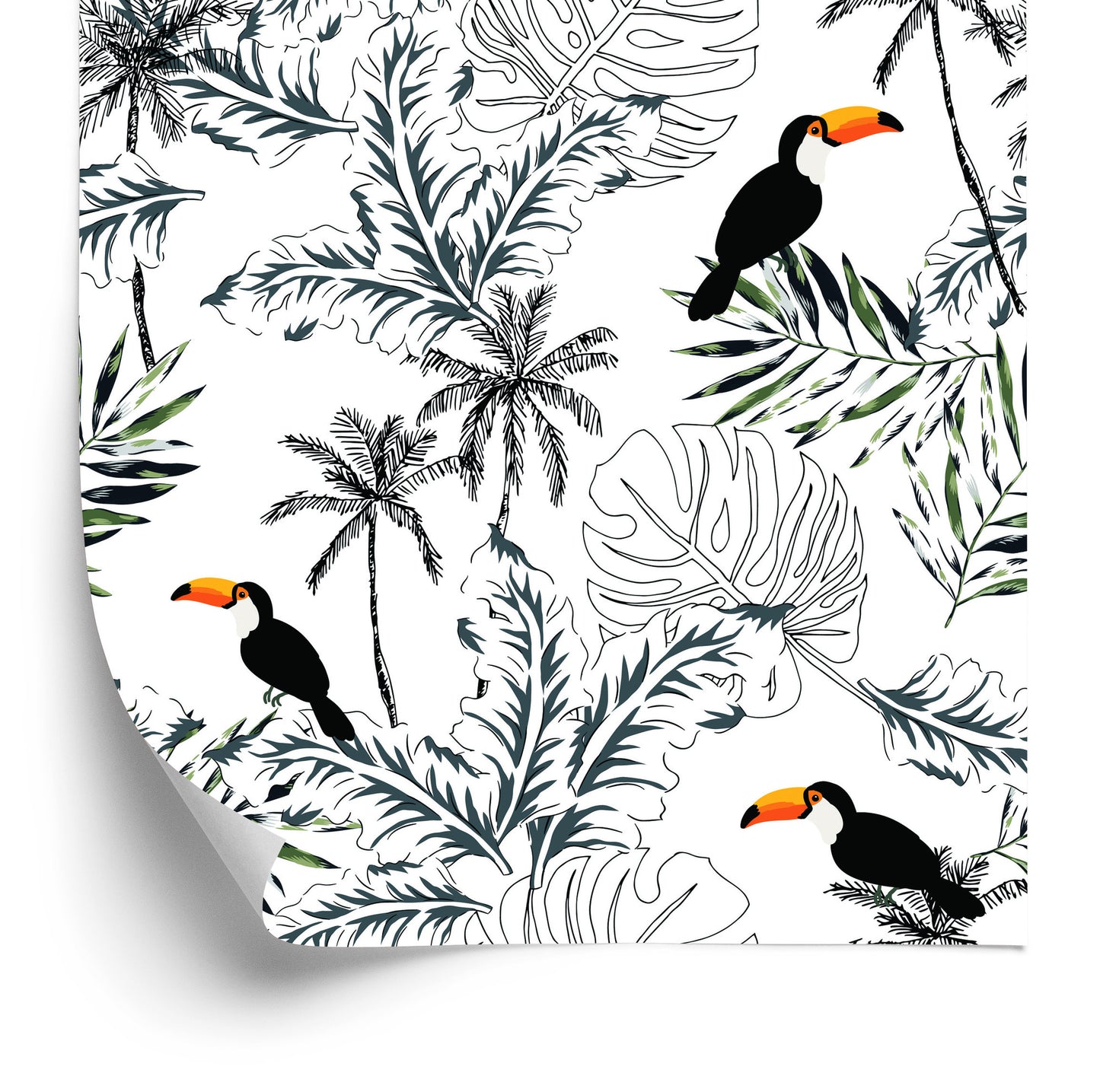 Wallpaper Toucans