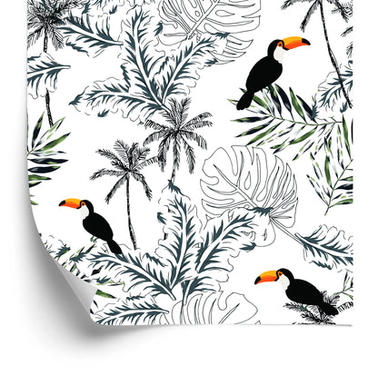 Wallpaper Toucans