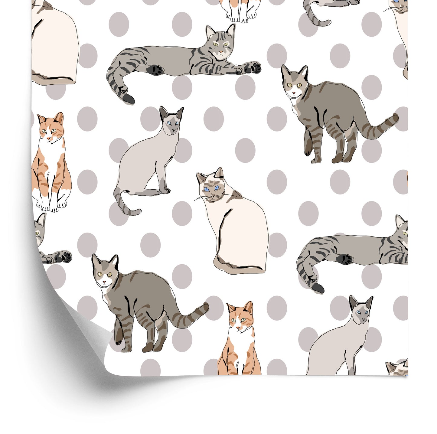 Wallpaper Cats On A Dot Ted Background
