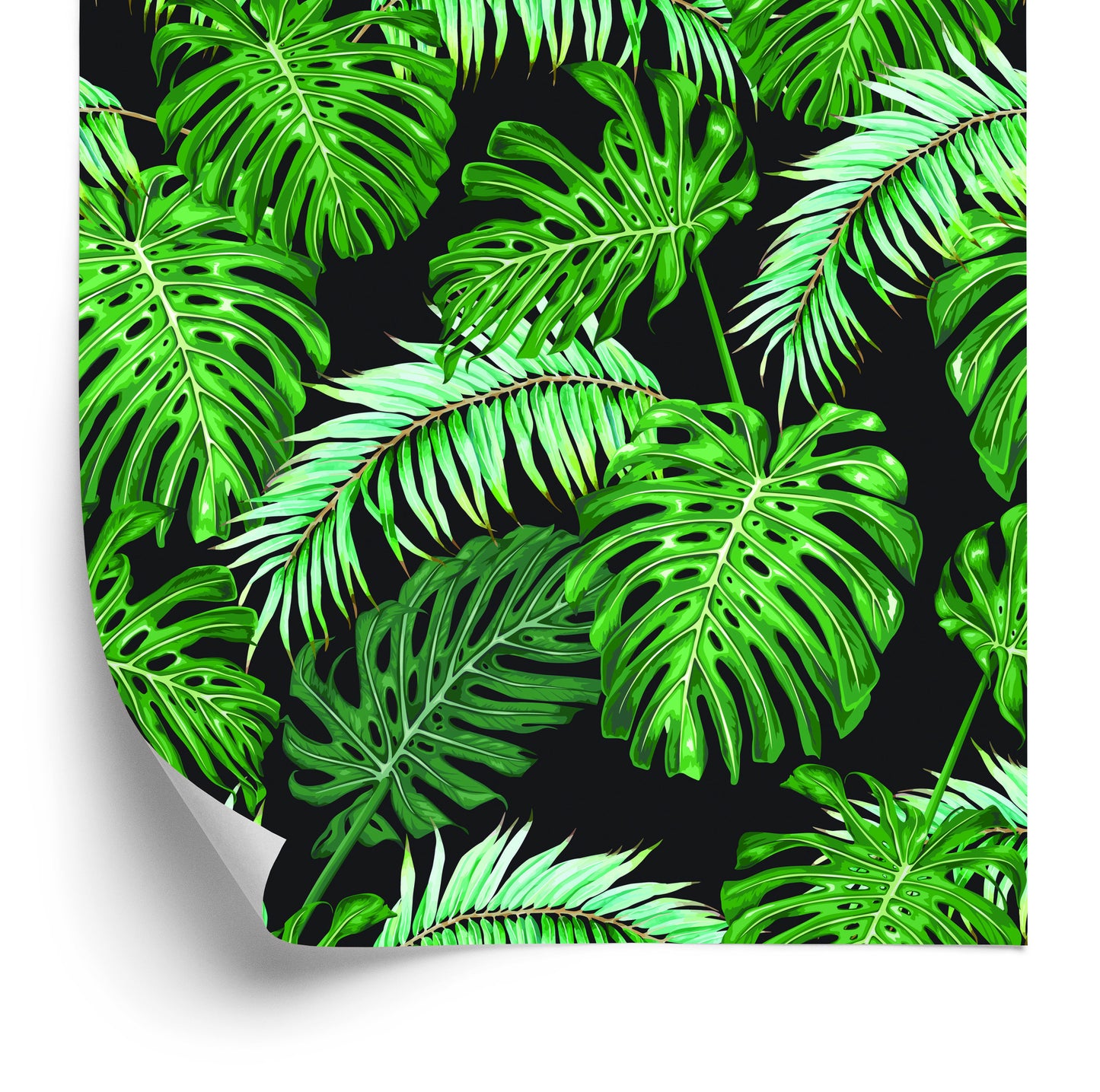 Wallpaper Palm Leaves, Field Leaves, Watercolour