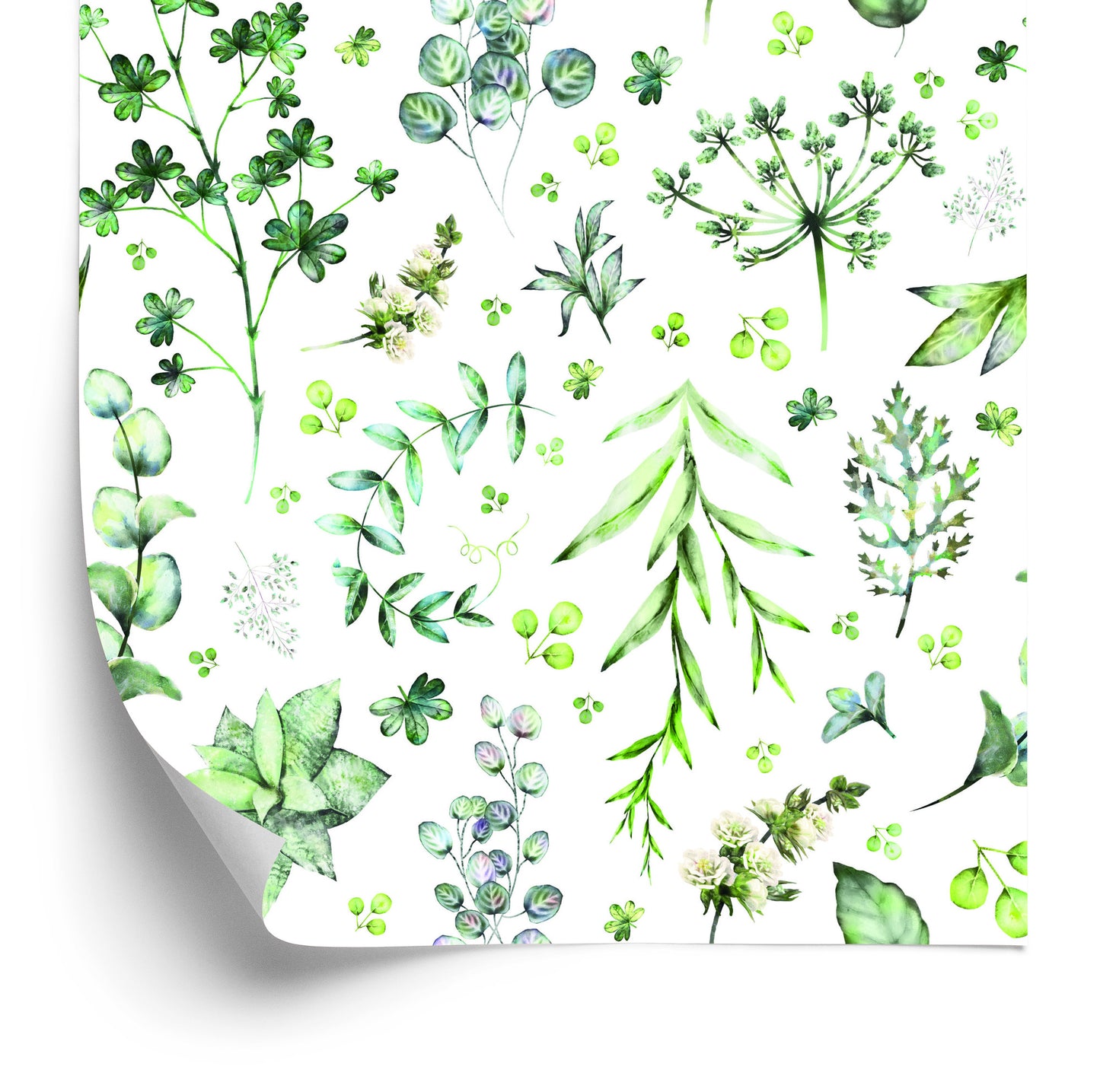 Wallpaper Leaves And Field Flowers