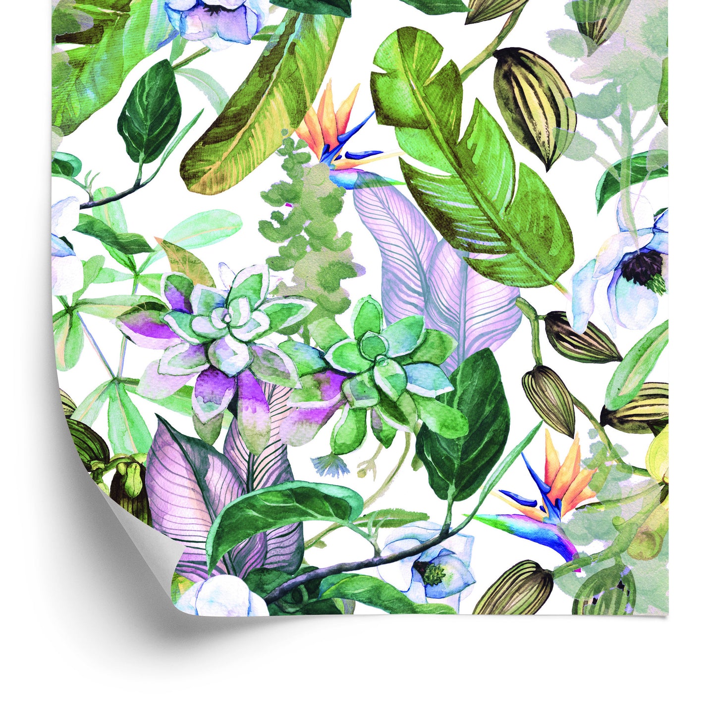Wallpaper Tropical Leaves Flowers