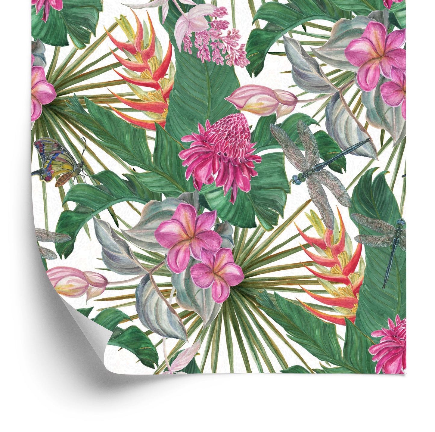 Wallpaper Beautiful Leaves Exotic Flowers