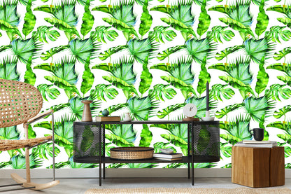 Wallpaper Tropical Leaves Jungle