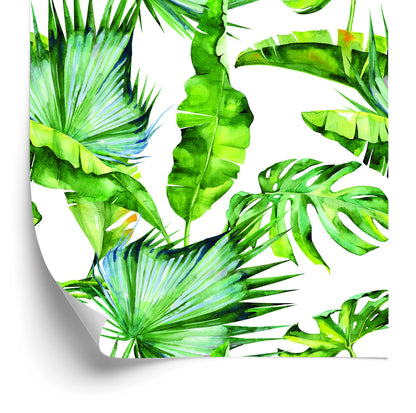 Wallpaper Tropical Leaves Jungle
