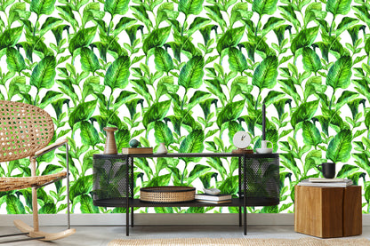 Wallpaper Tropical Leaves Watercolor