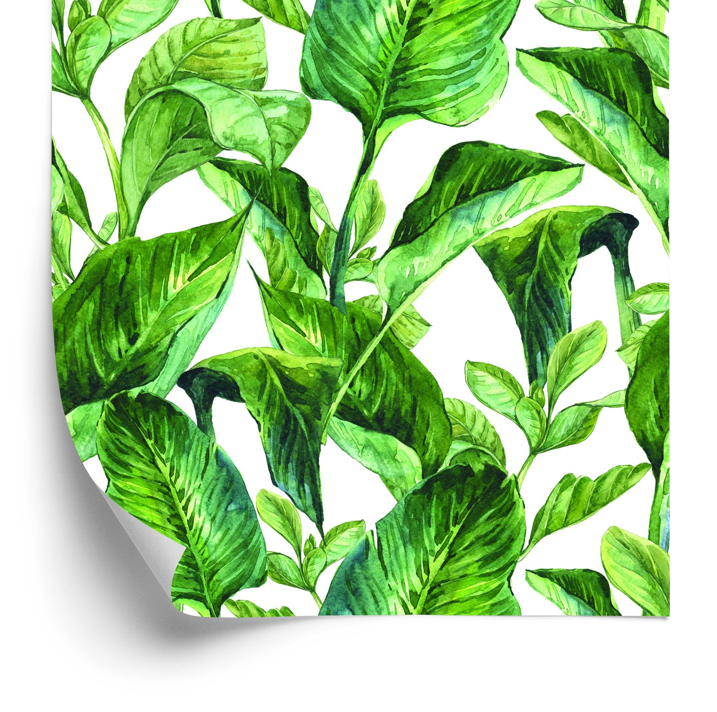 Wallpaper Tropical Leaves Watercolor