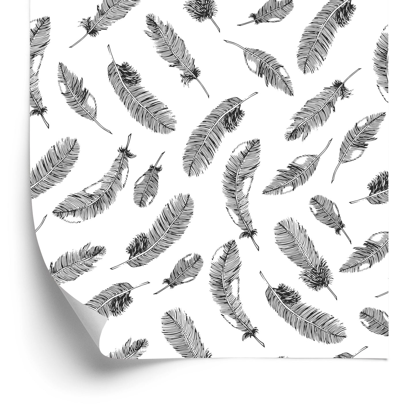 Wallpaper Black Feathers On White Background