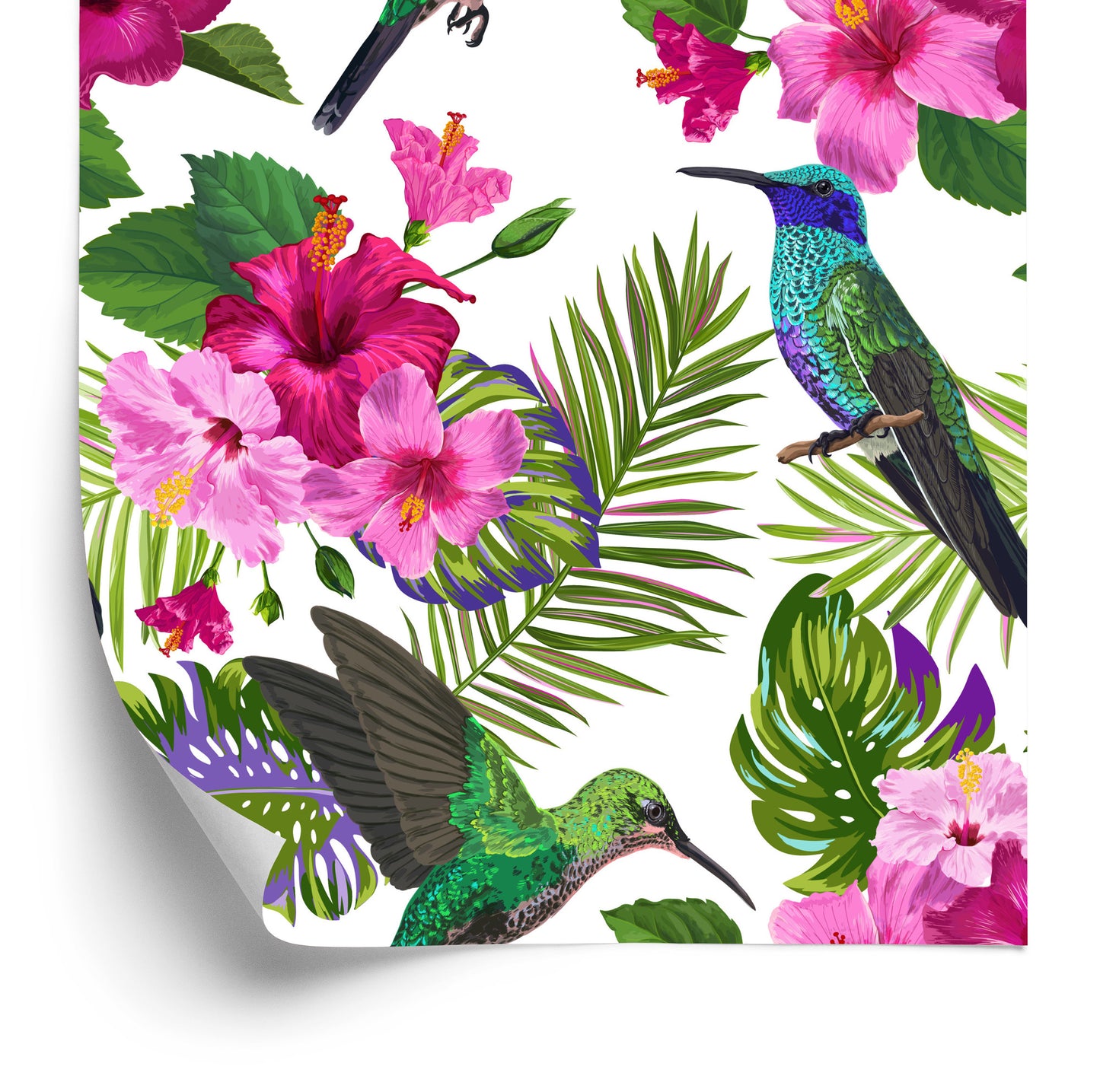 Wallpaper Colorful Hummingbirds, Leaves And Flowers