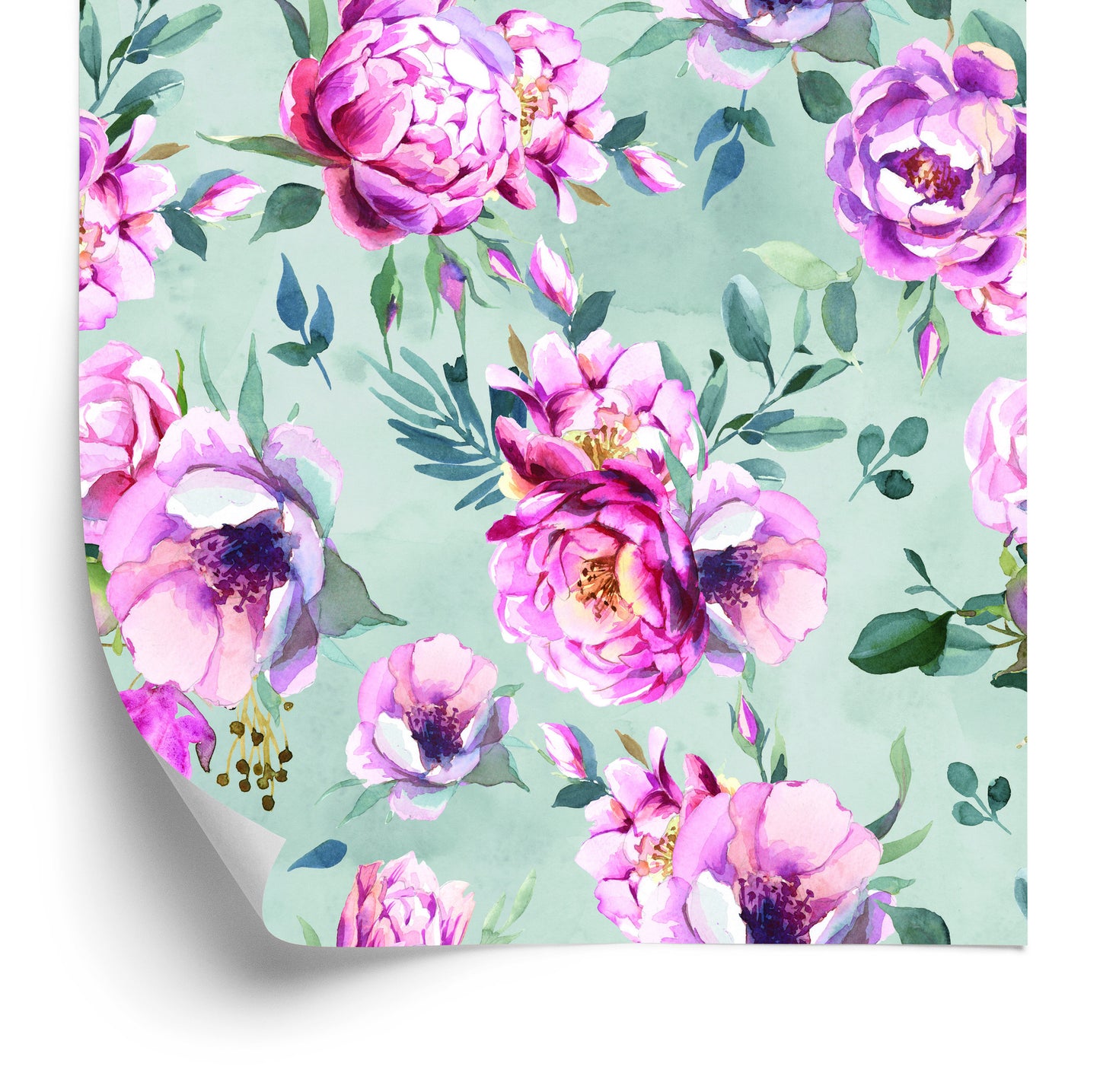 Wallpaper Colorful Watercolour Peonies