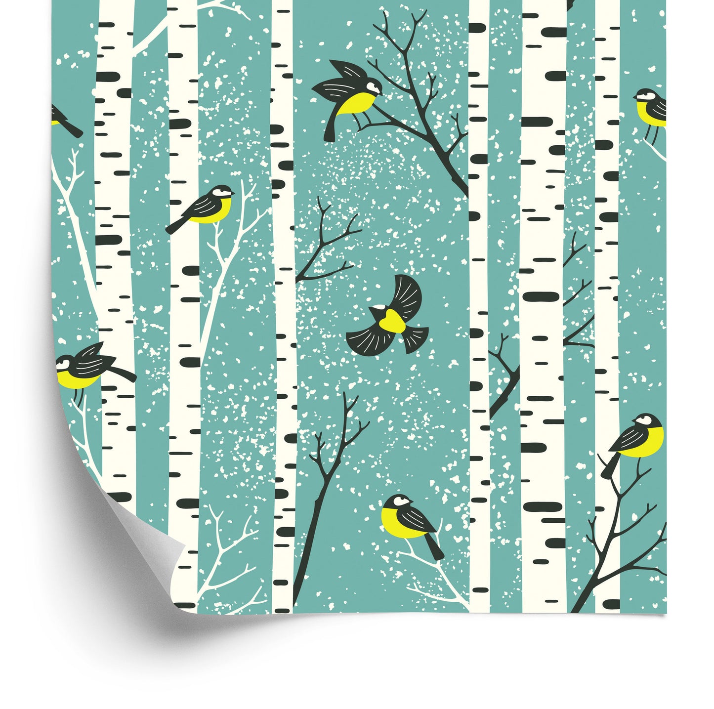 Wallpaper Birches And Colorful Birds In Winter