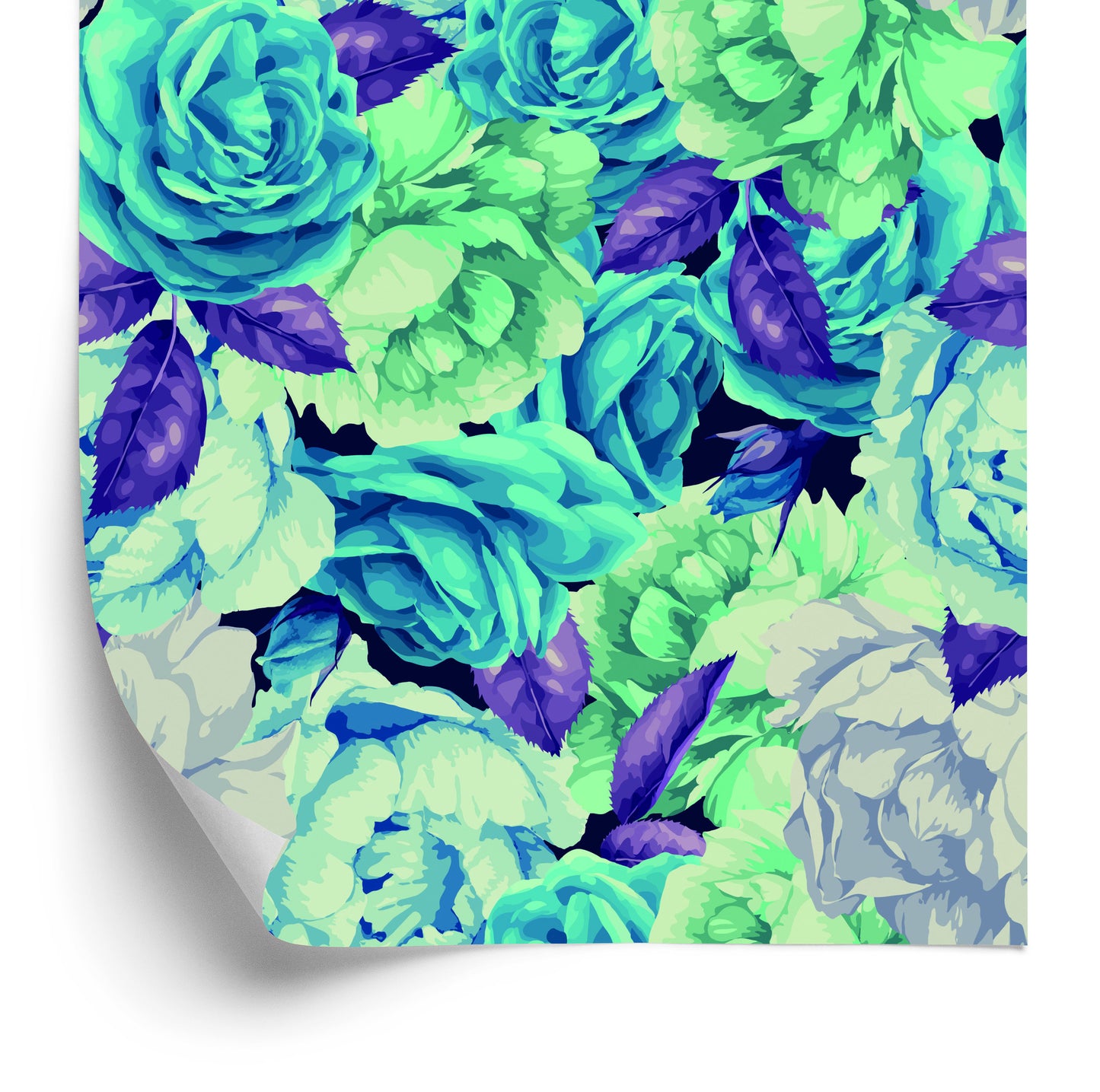 Wallpaper Beautiful Colorful Roses