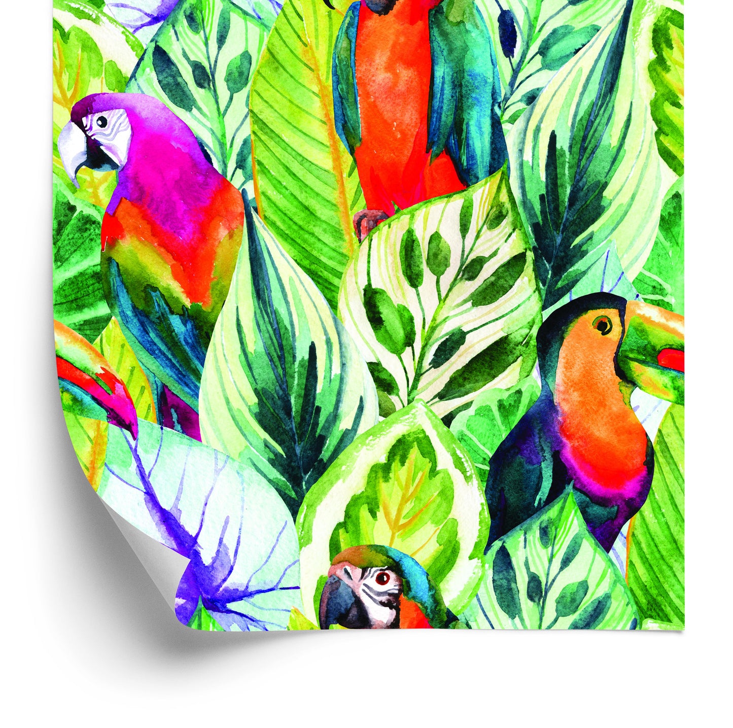 Wallpaper Tropical Leaves And Birds