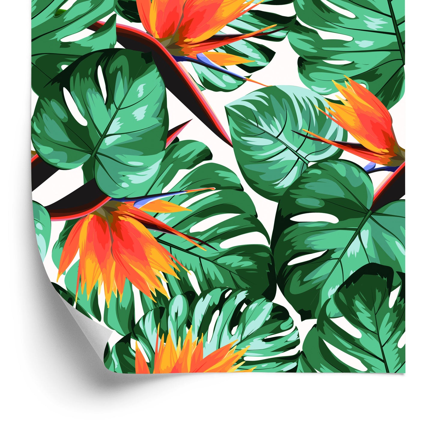 Wallpaper Tropical Leaves And Flowers