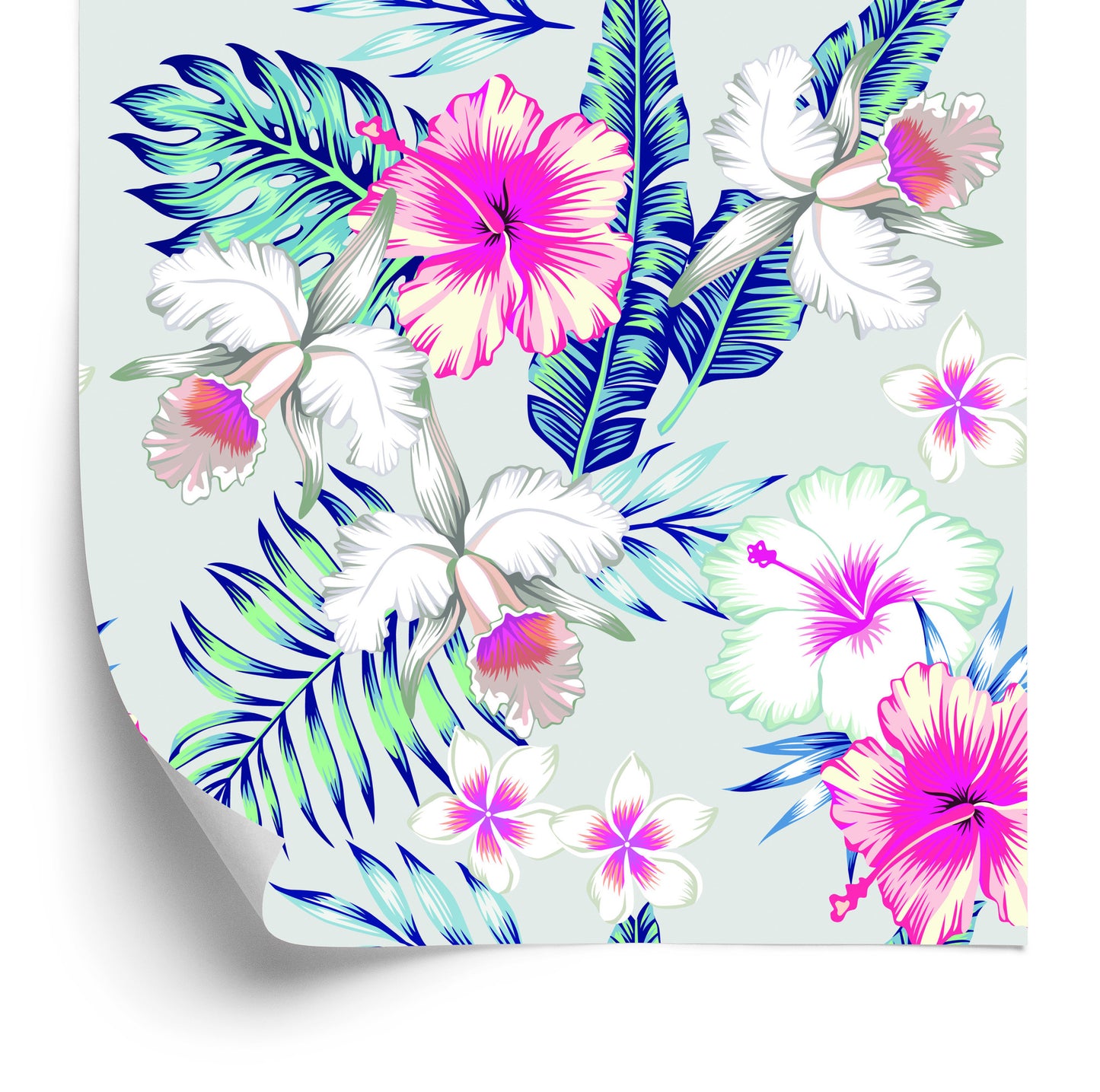 Wallpaper Exotic Flowers And Leaves