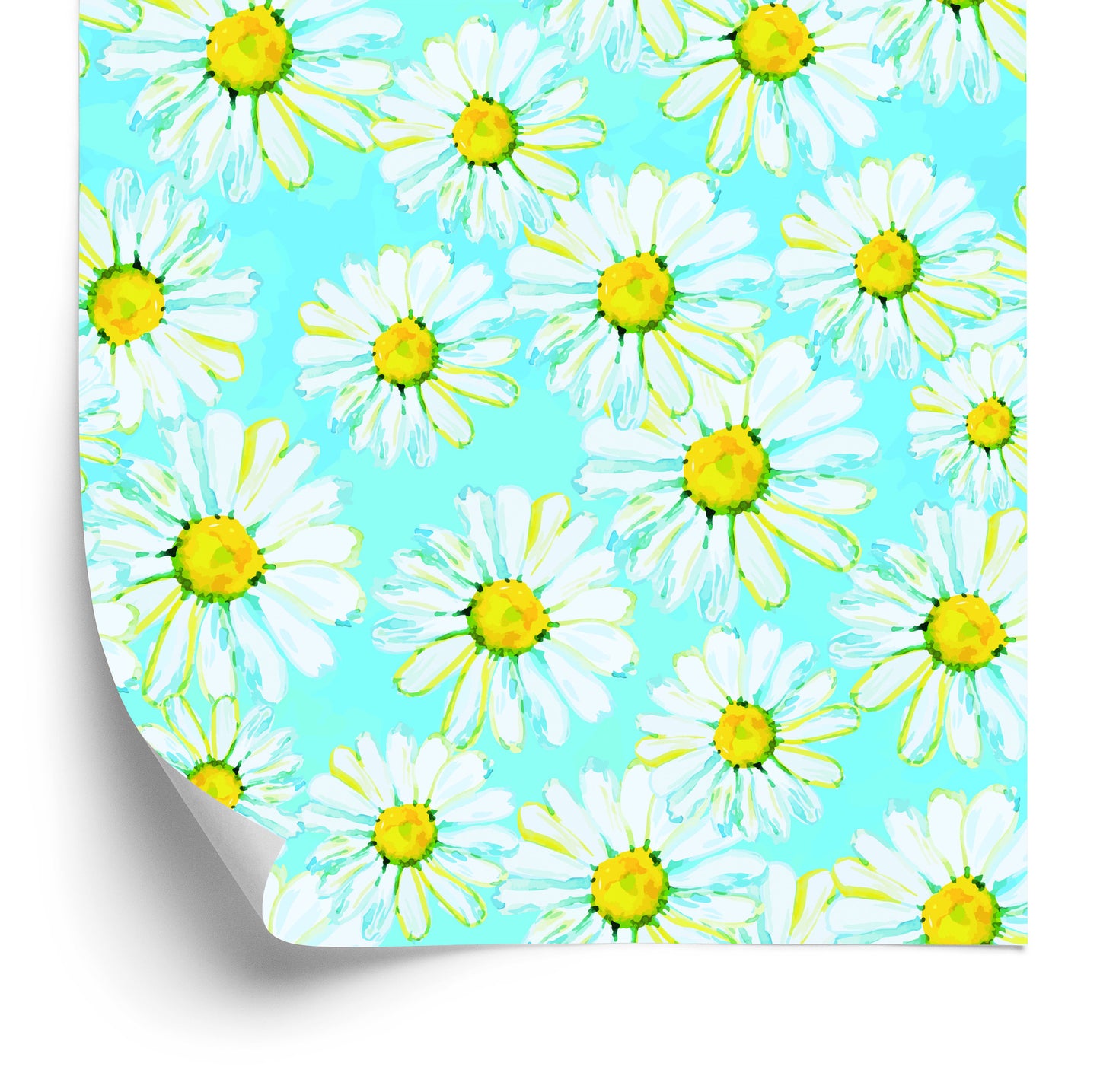 Wallpaper Daisies Painted With Watercolor
