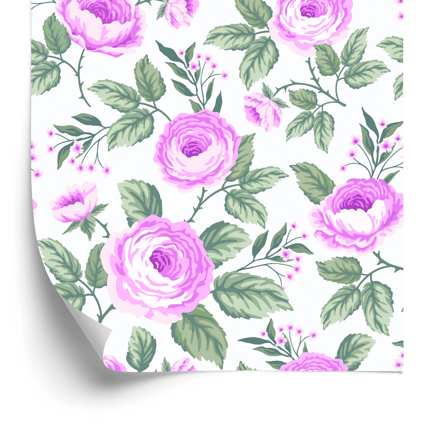 Wallpaper Beautiful Delicate Roses