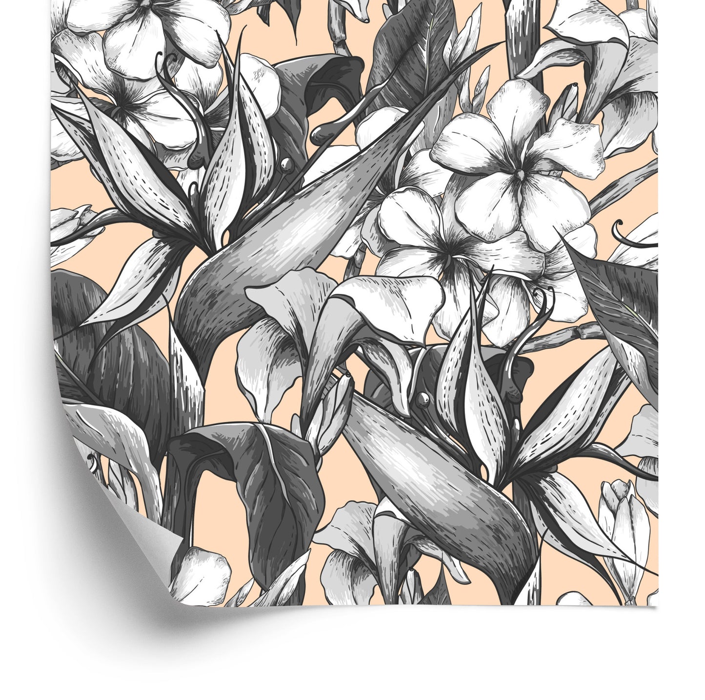 Wallpaper Beautiful Exotic Flowers