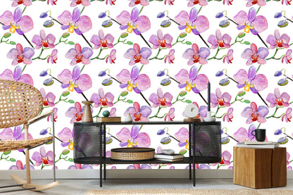 Wallpaper Orchids. Orchids. Flowers. Plants
