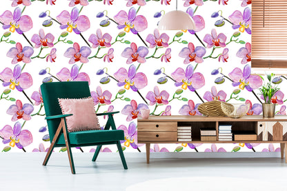 Wallpaper Orchids. Orchids. Flowers. Plants