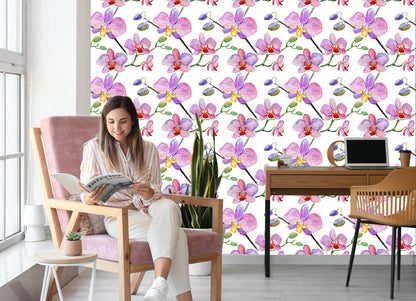 Wallpaper Orchids. Orchids. Flowers. Plants