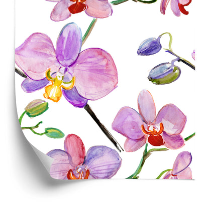 Wallpaper Orchids. Orchids. Flowers. Plants