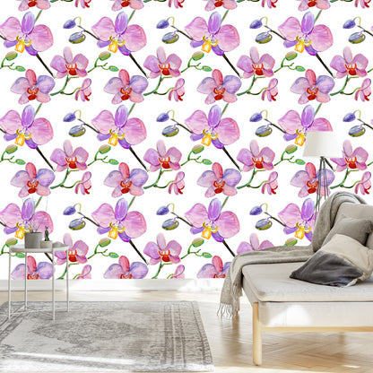 Wallpaper Orchids. Orchids. Flowers. Plants